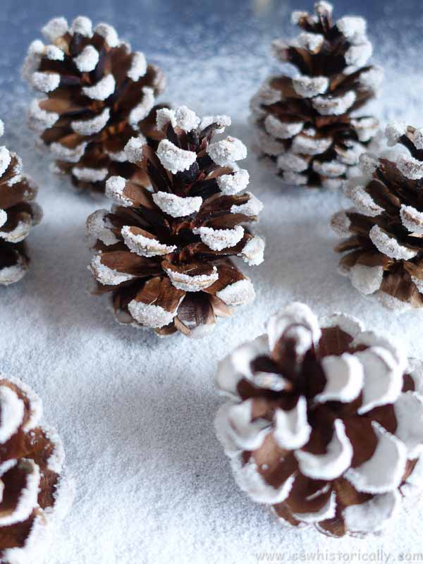 pine cones with fake snow 