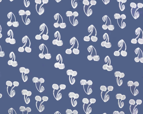 Little Johnny 8oz Denim | 2 Patterns - Image 3