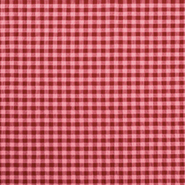 Rowan Gingham Seersucker | 2 Colours - Image 4